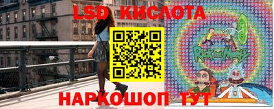 шишки Бузулук