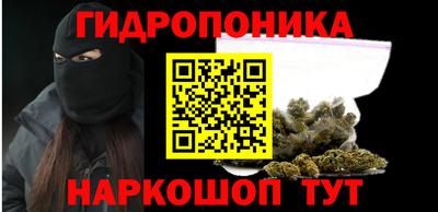 шишки Бузулук