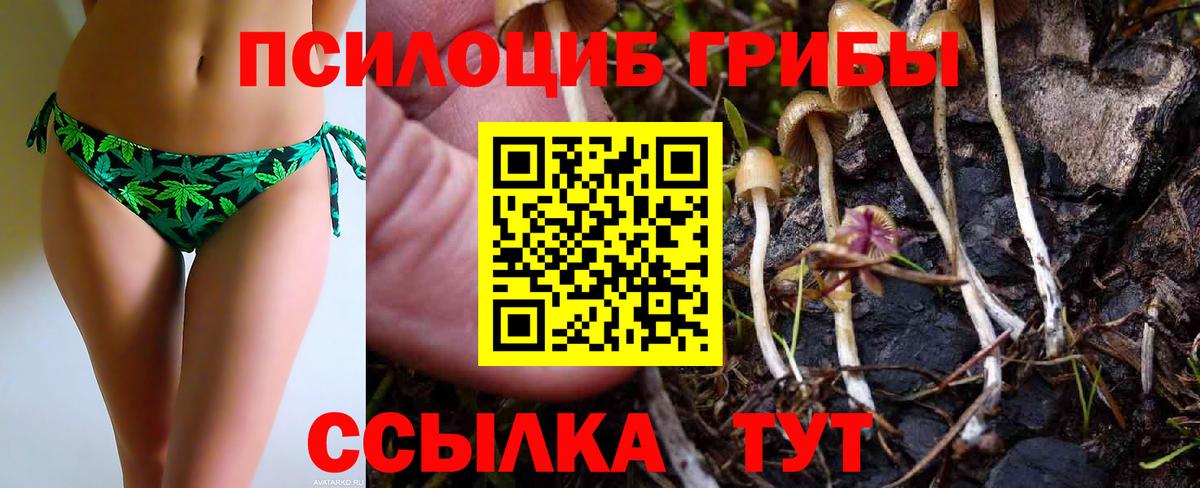 Псилоцибиновые грибы ЛСД  Вход с VPN  Тельмана 